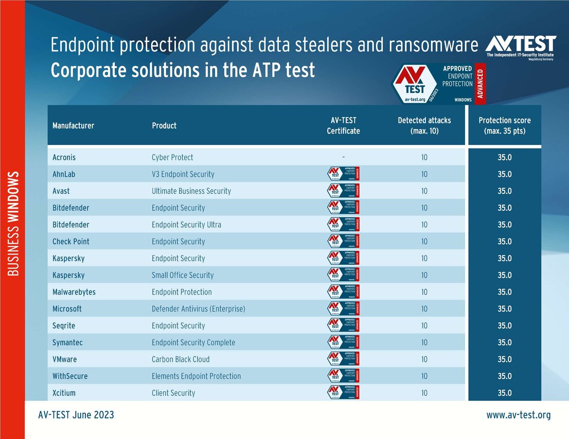 Company security against ransomware and data stealers